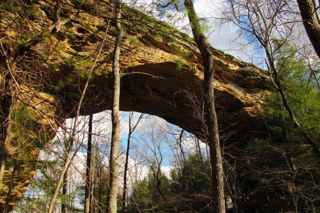 Twin Arches Rock formation that looks like arches in the middle of the forest.