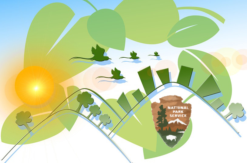 sunshine and nps