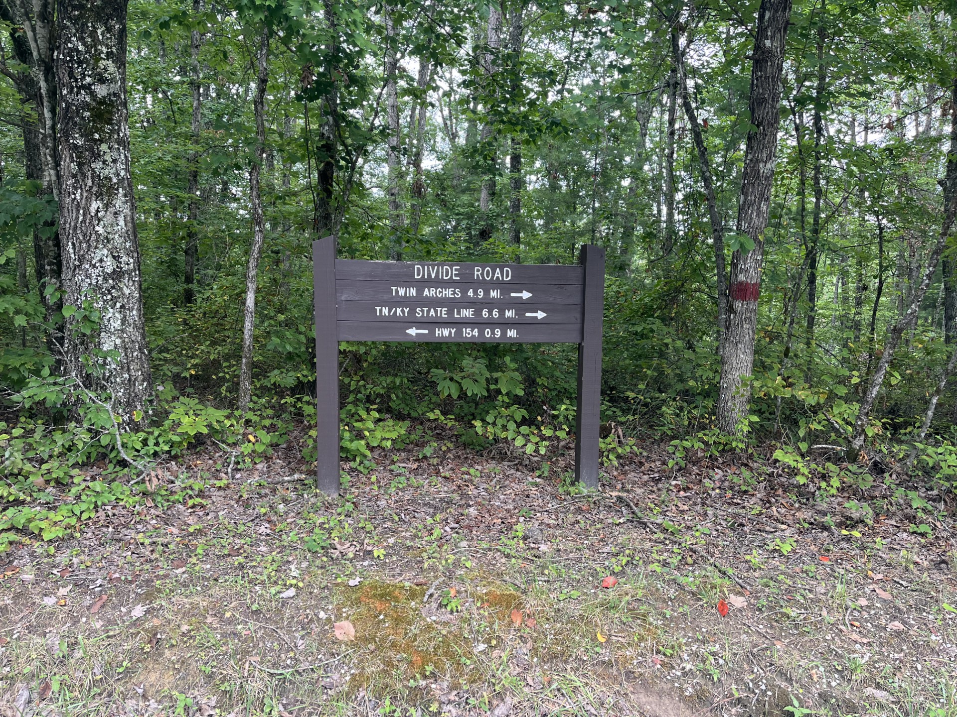 Divide Road trail sign stands between trees on an embankment