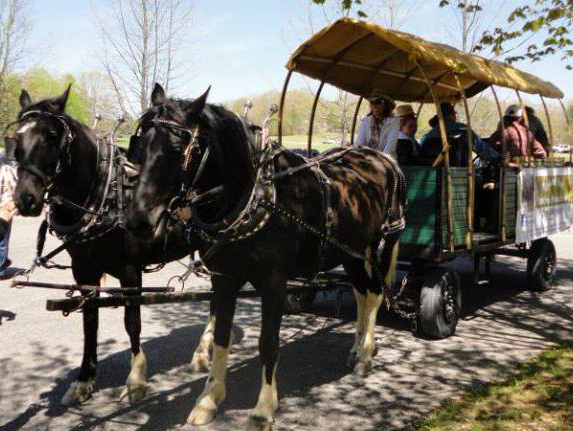 wagon rides