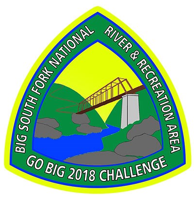 2018 GO BIG Challenge 2018 GO BIG Challenge
