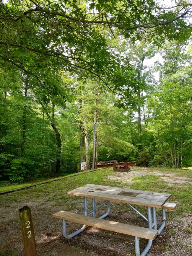 Picnic table sits under a tree next to a campsite.