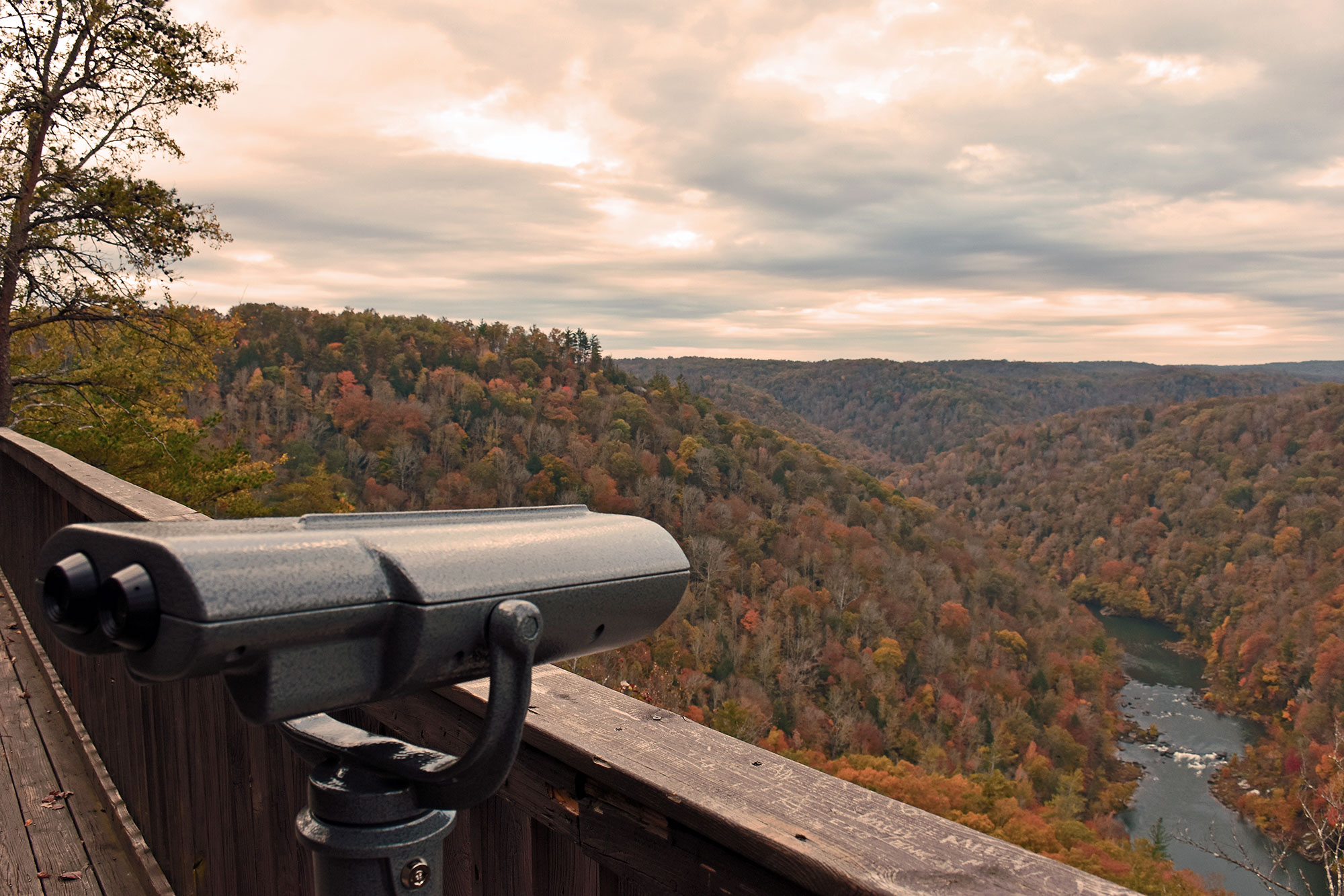 2East-Rim-Overlook-View-Finder Viewfinder points over the overlook towards the river and multi-colored forests below
