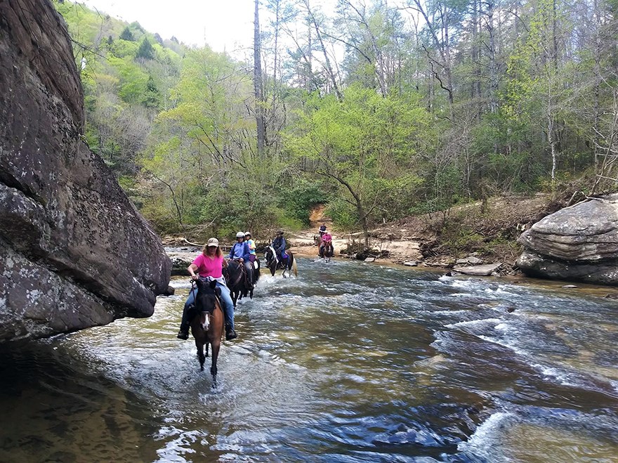 2021 Photo Contest Winners Big South Fork National River & Recreation