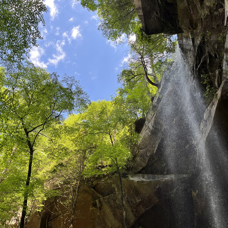 View looking up at Yahoo Falls with clouds visible between trees.