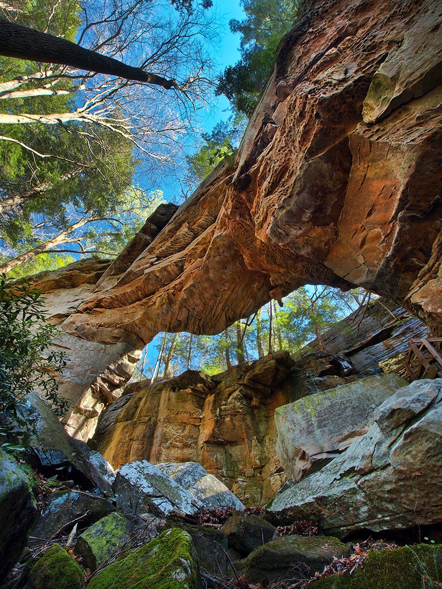 KY Landscapes - Bill Fultz - Split Bow Arch