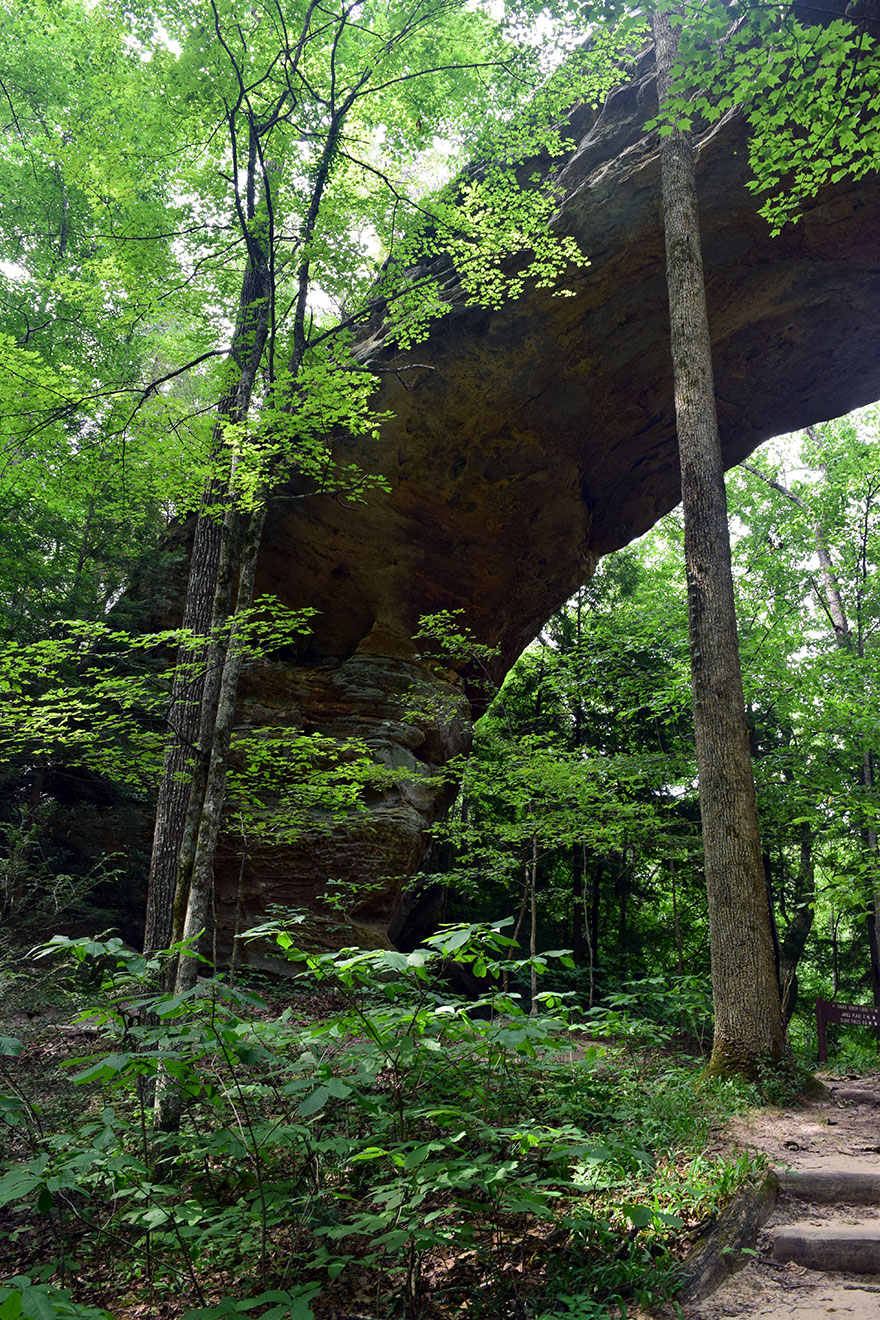 Kara-Hewlett-North-Arch-web