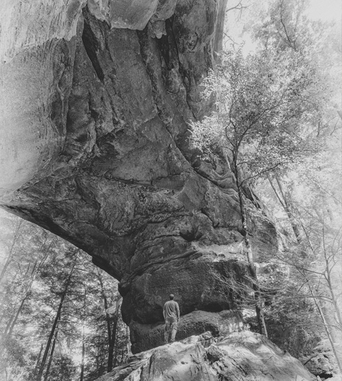 black and white image of twin arches