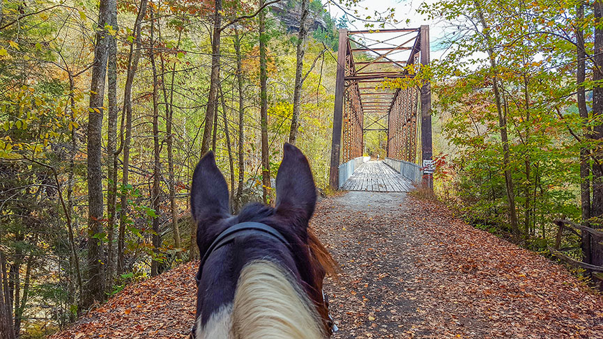 Beth Anderson - First Look at O and W Bridge