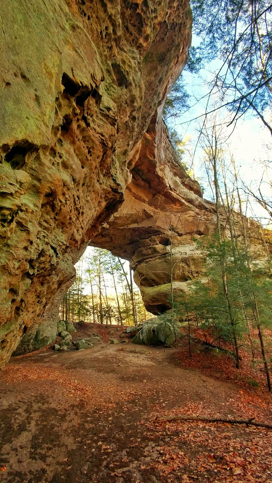 Martin McDonald - Majestic Arch