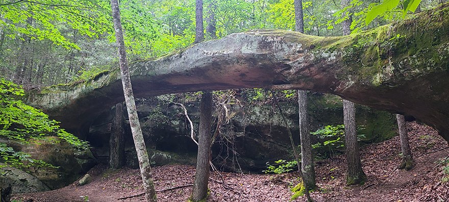 Sandra-Reynolds-Needle-Arch-web