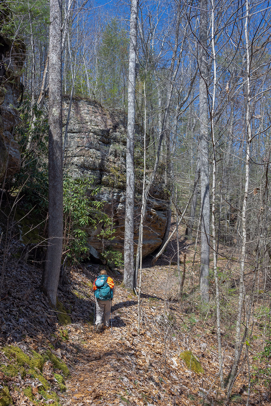 Spangler_Linda_SerenityInTheWoods_Recreation2