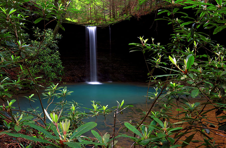 WEB-Tracey_Travis_Natures-Window-of-Beaver-Falls_Tennessee-Landscapes