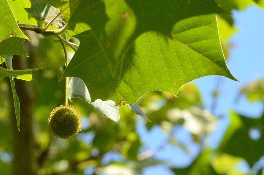 Youth---Emily-Whitis---Zacchaous