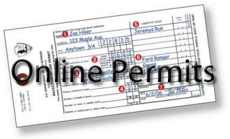 online permits