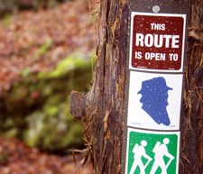 trail symbols on tree