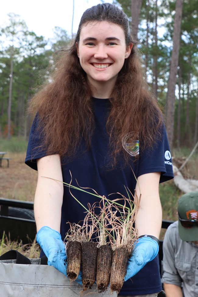 a woman holding 4 grass seedlings ready to be planted