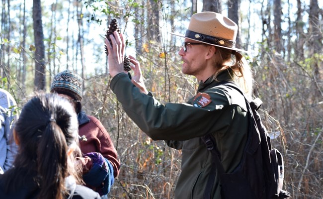 park ranger showing pinecones to a school group