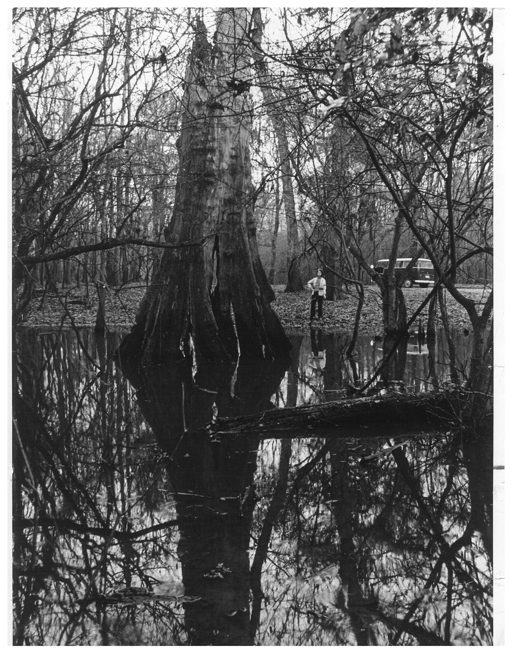 Geraldine Watson black and white photo of a woman standing near the edge of a pond looking at a large dead cypress tree. Her van is in the background.