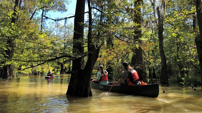 2 people in a canoe following a person in a kayak on a forested waterway