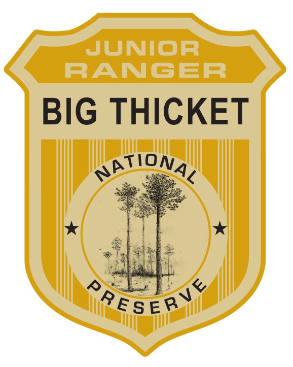 graphic of junior ranger badge that reads "Junior Ranger" "Big Thicket" "National Preserve"