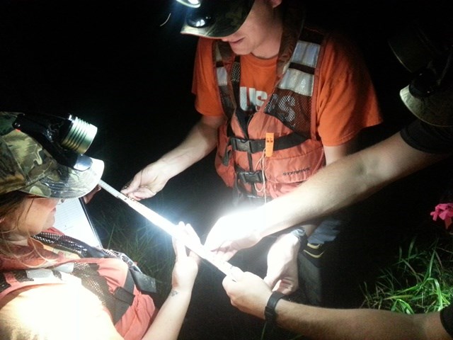 USGS BITH Herp Survey USGS BITH Herp Survey