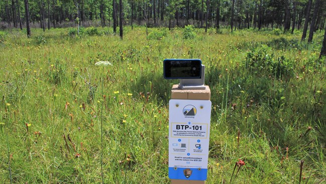 cell phone sitting in a custom photo bracket above a green meadow