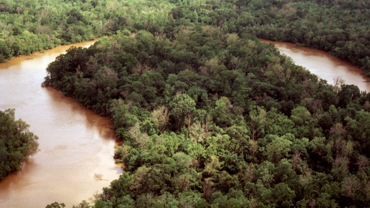 aerial view of an oxbow lake surrounded by forest