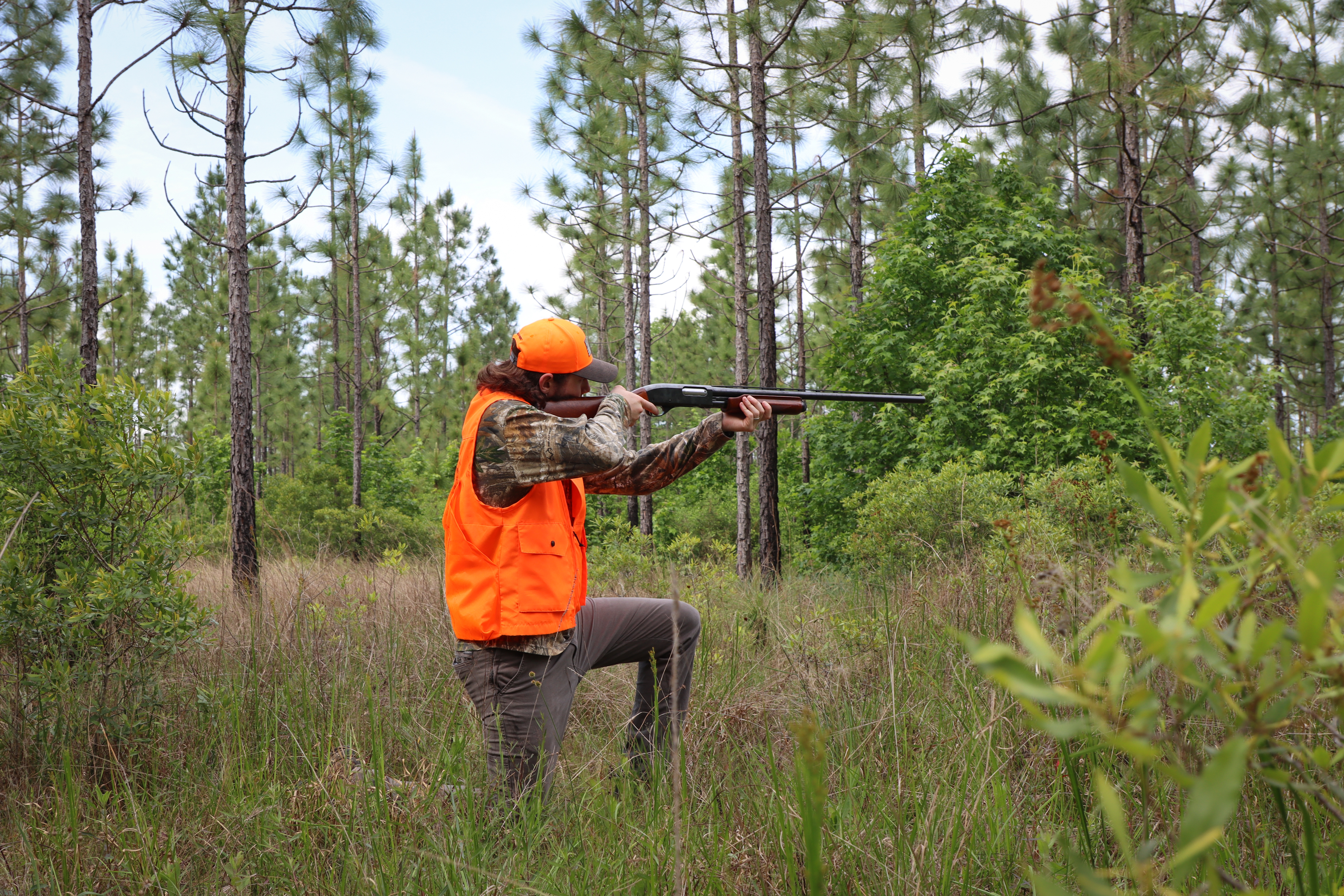 Hunting at Big Thicket A man wearing hunting attire, including an orange vest and hat, and camouflage, kneels in a forested area while aiming a shotgun.