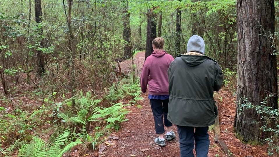 hikers hikers on a trail in the woods