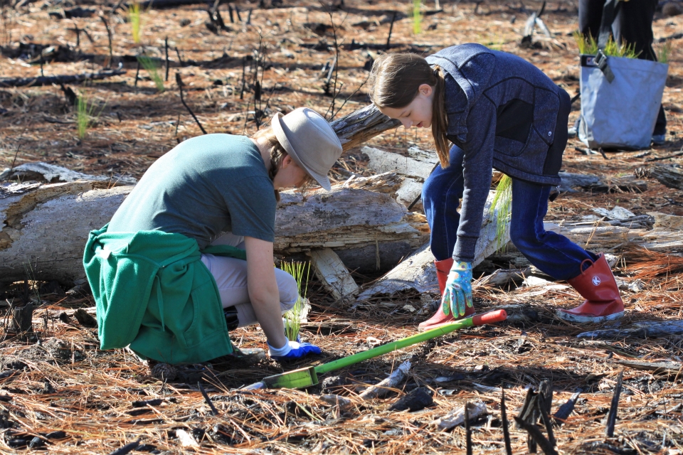 2 young girls planting trees in a burned area of forest