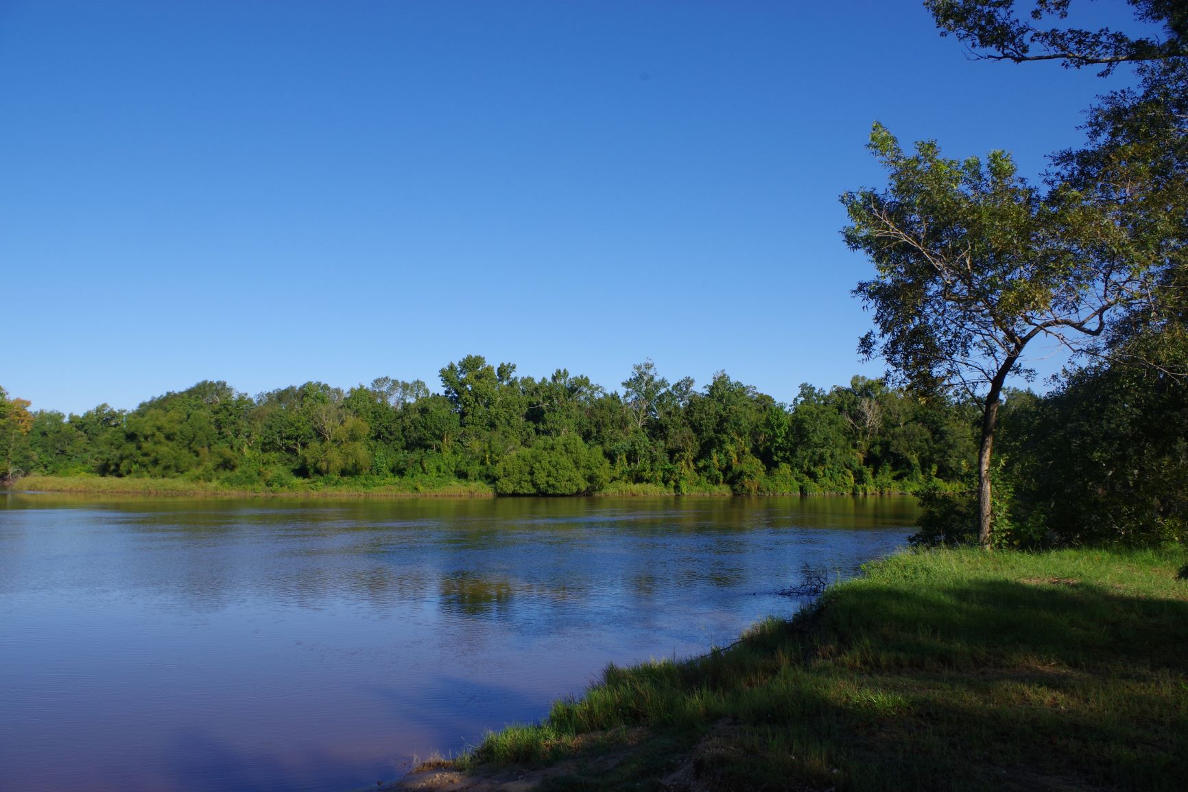 view of a wide blue river under a blue sky, with green trees along the river bank.