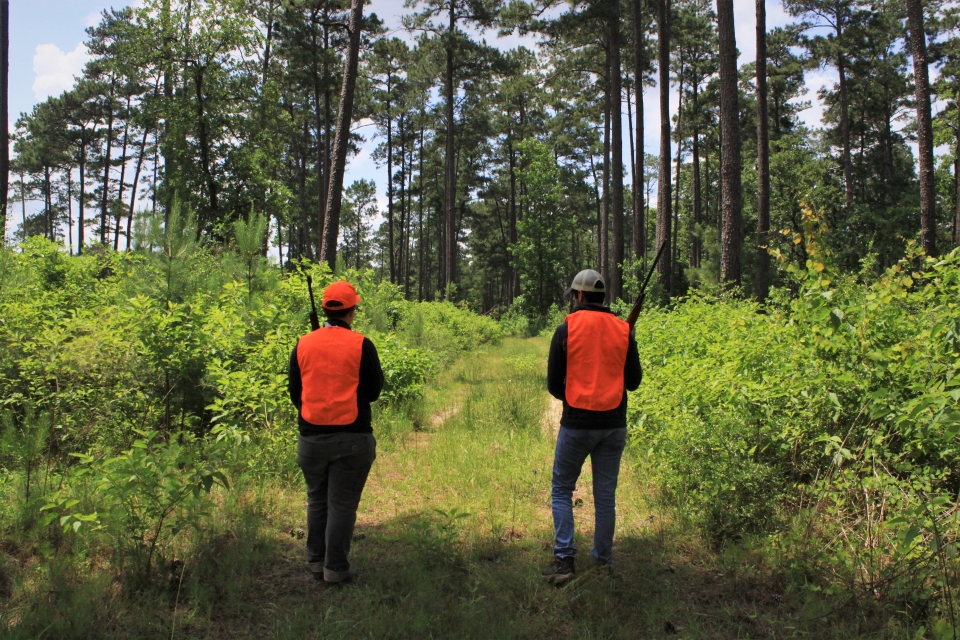 2 hunters wearing orange vests walking down a trail
