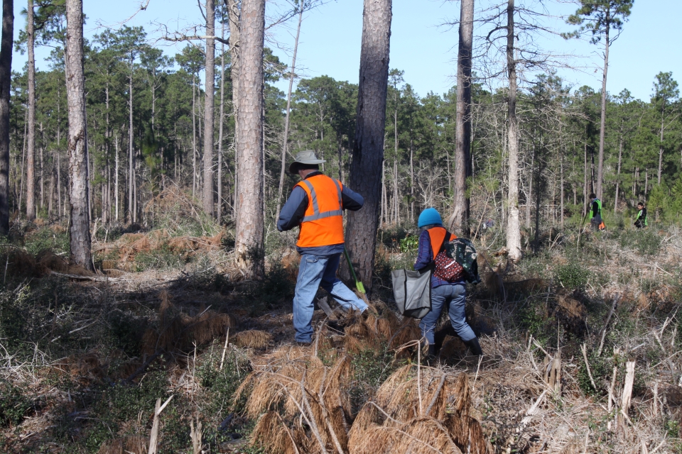 two volunteers in orange vests carrying tree-planting equipment