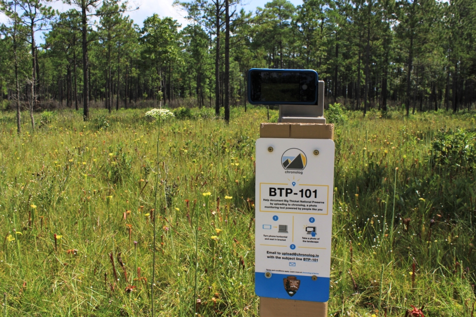 smartphone propped up at a photo station next to a meadow. a sign below the stand describes how to upload the photo to the environmental monitoring website.