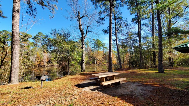 a brown picnic table situated next to tall trees near a wide waterway in fall.
