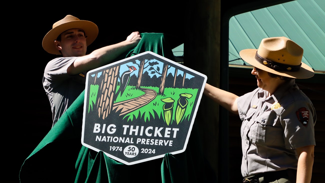 2 rangers pull a green sheet off of a large printed logo on display. The logo is hexagonal and features a woodpecker perched on a tree, a wooden boardwalk, and pitcher plants with text that reads Big Thicket National Preserve 50 years 1974-2024.