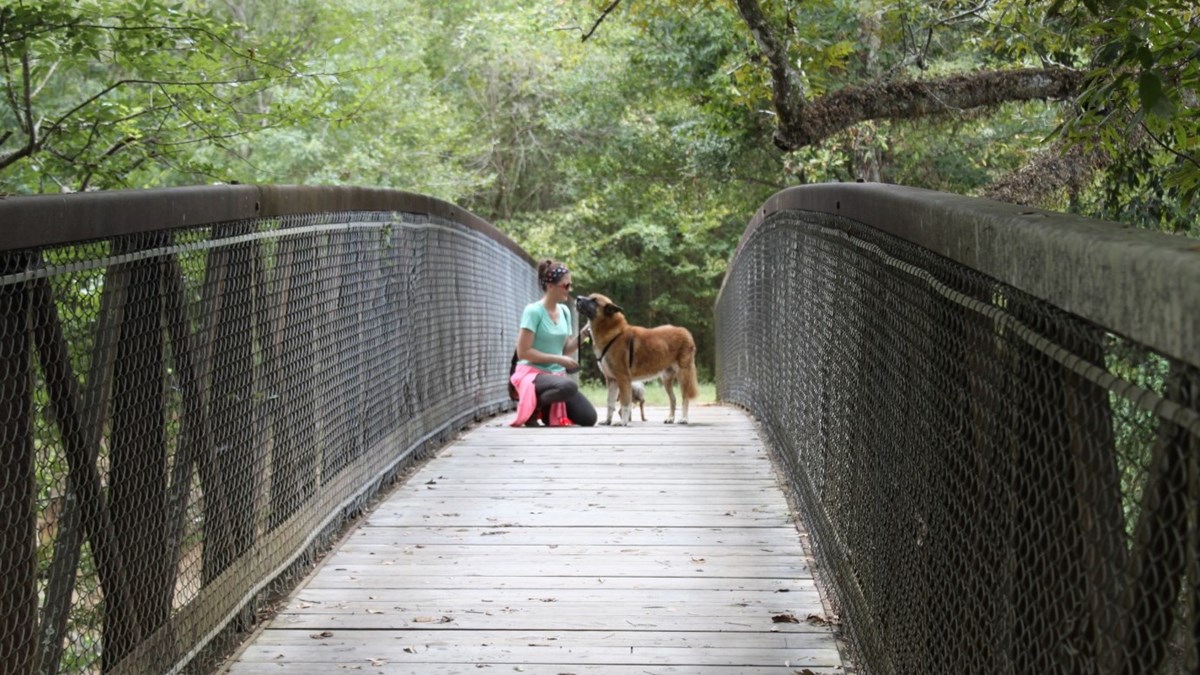 A large dog nearly kisses a hiker as she kneels next to a large and a small dog on an arched wooden bridge with a background of trees.