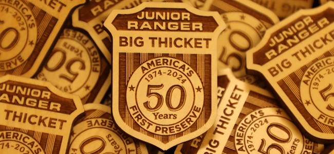 A pile of wooden 50th Anniversary Big Thicket Junior Ranger Badges