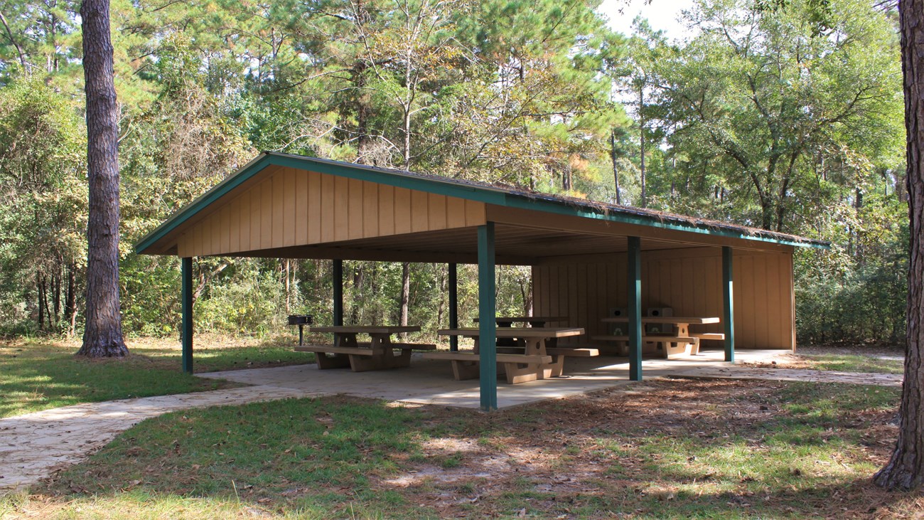 covered picnic area in the forest