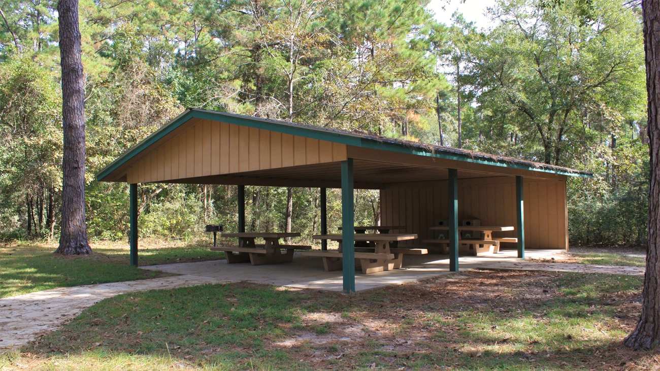 Picnic area covered picnic area in the forest