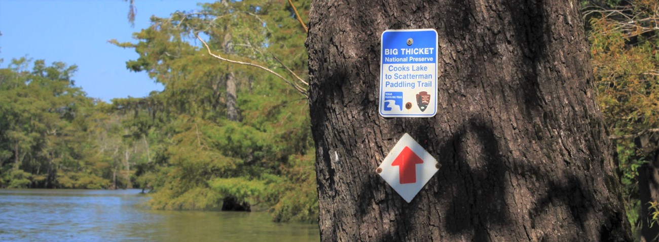 metal sign mounted on a tree next to a river