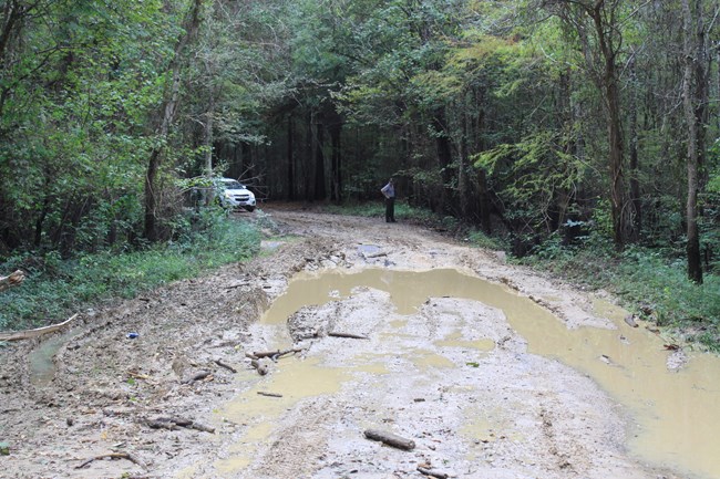 muddy road with person and car in the distance