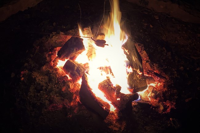 marshmallows roasting over a campfire