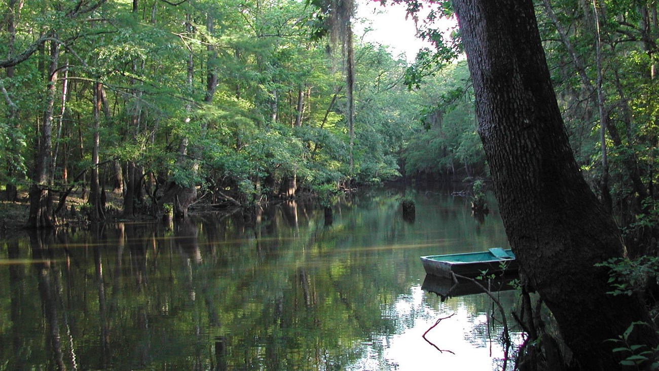 empty boat on the water in a lake surrounded by woods