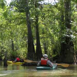 Paddling the Big Thicket - Big Thicket National Preserve 
