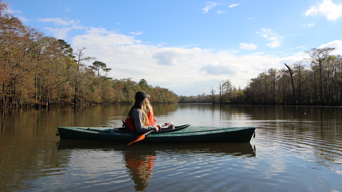 a person in a kayak enjoys the view of the bayou and forest