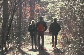 Hikers on a woodland trail Hikers on a woodland trail