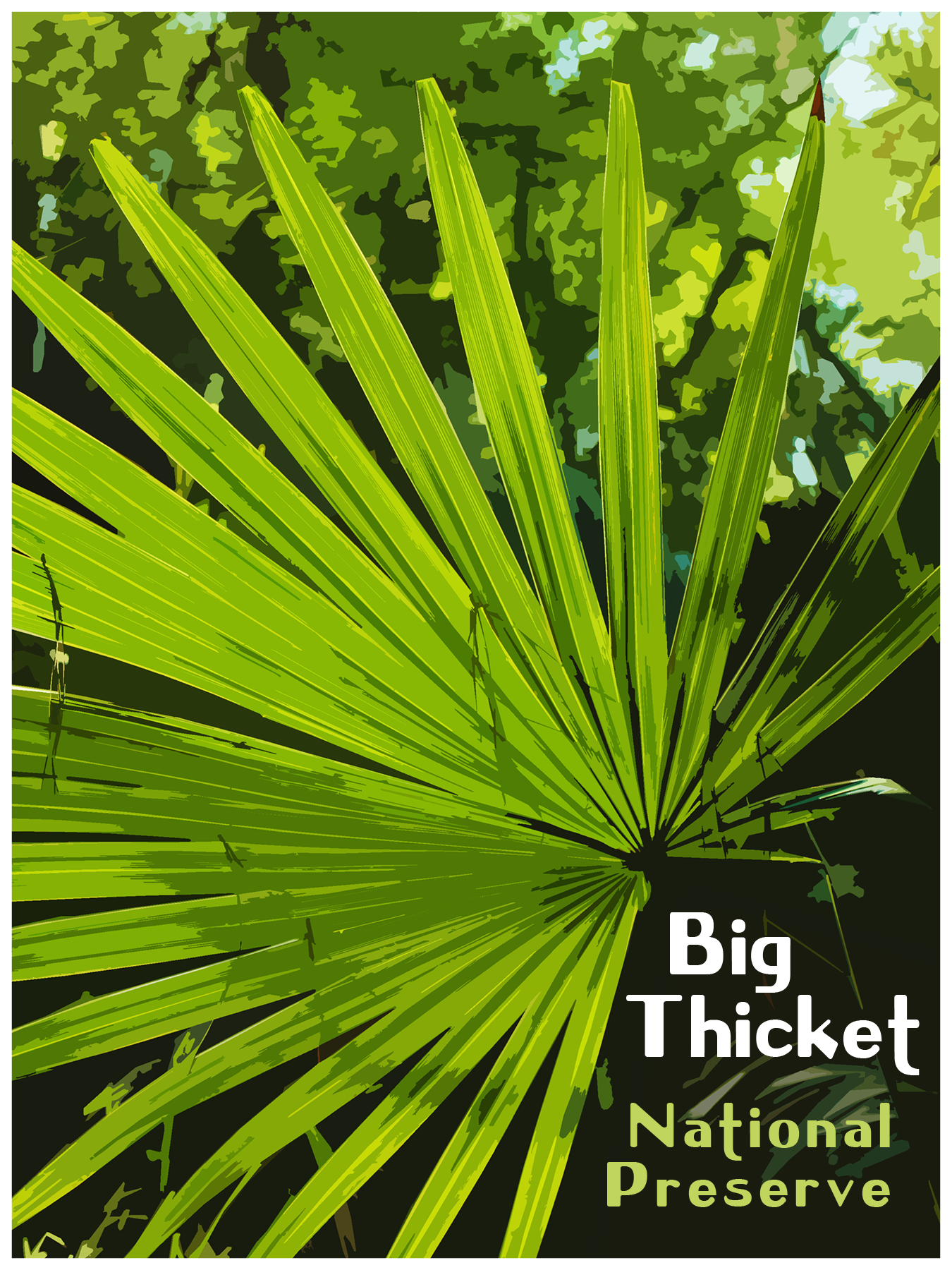 a palmetto leaf glowing in the sunlight with text that reads "Big Thicket National Preserve"
