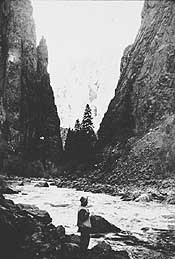 Ellsworth Kolb